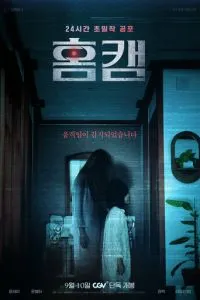 Домашняя камера